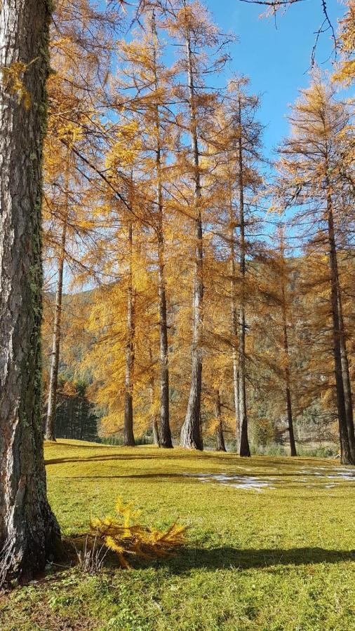 Chalet Am See Насерайт Екстериор снимка